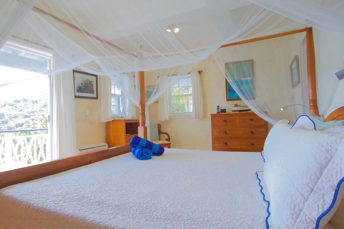 Big Blue Ocean Views From Every Room, Pool Αμερικανικές Παρθένοι Νήσοι