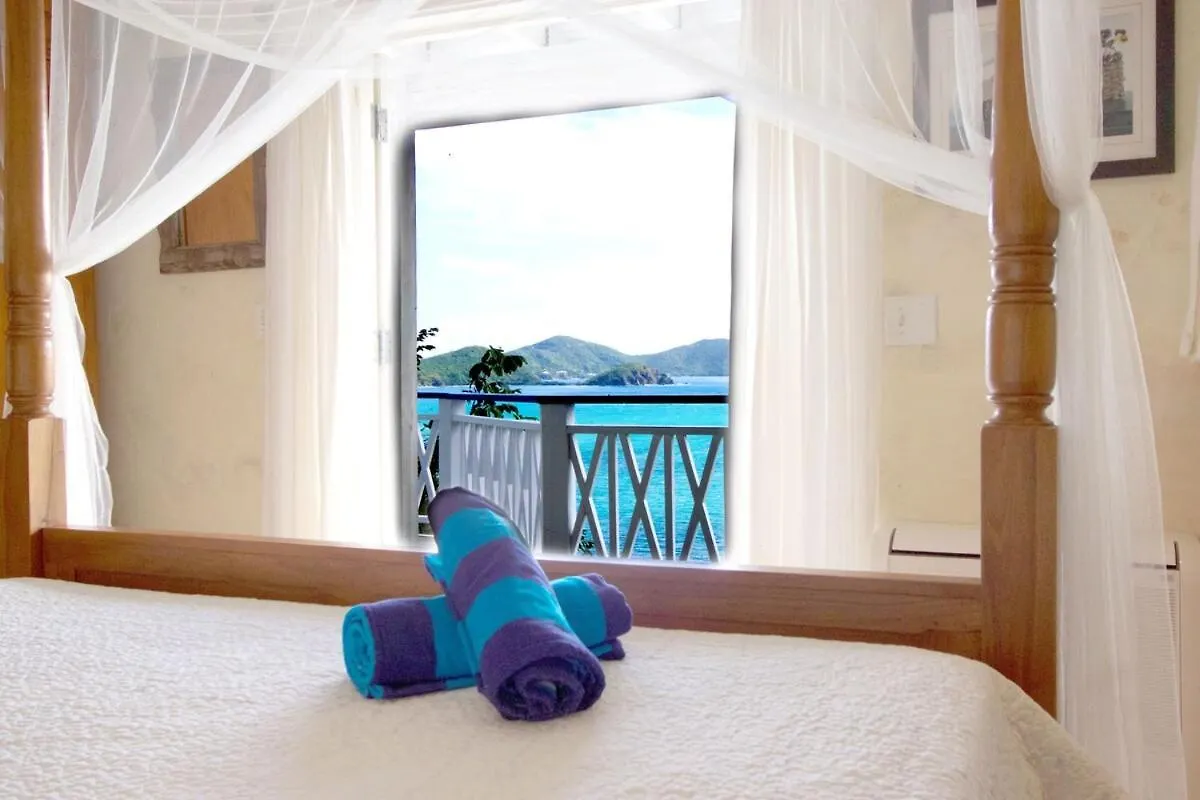 Big Blue Ocean Views From Every Room, Pool 0*, Coral Bay Αμερικανικές Παρθένοι Νήσοι